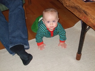 DSCF3231.JPG