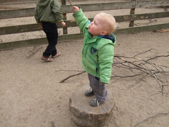 DSCF4098.JPG