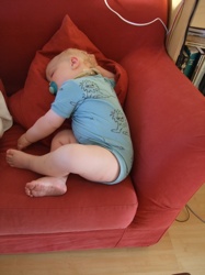 DSCF4340.JPG