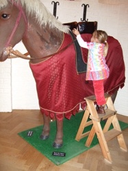 DSCF5476.JPG