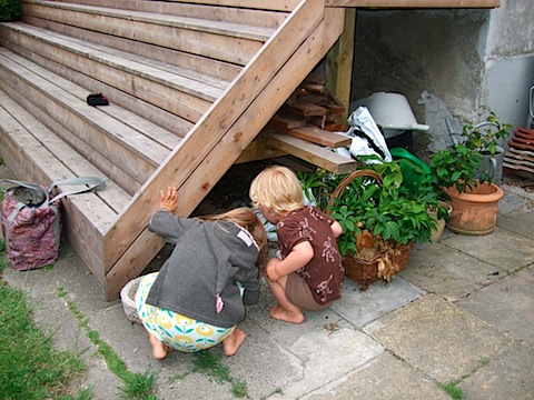 DSCF6730.JPG
