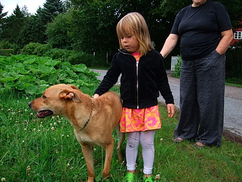 DSCF6815.JPG