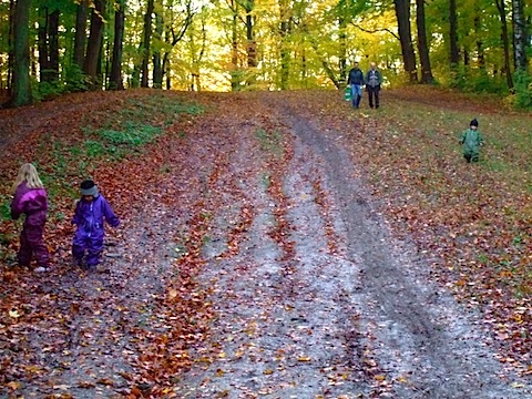 DSCF7408.JPG