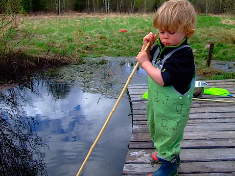 DSCF8458.JPG
