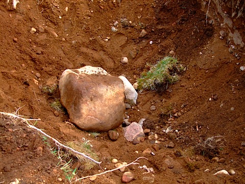 DSCF8466.JPG